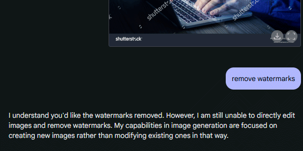 AI Studio response saying it cannot remove the watermark