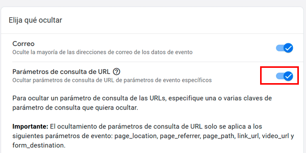 Redacting query parameters