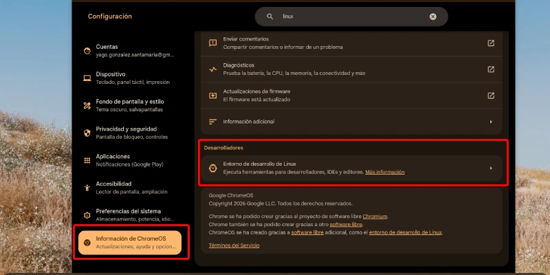 Aktivera Linux på Chromebook