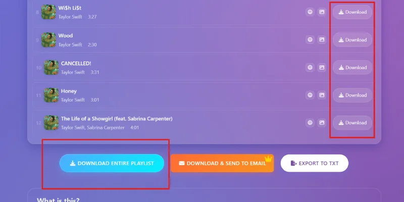 Scaricare le canzoni singolarmente o l’intera playlist